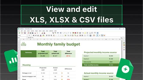 XLSX+ .